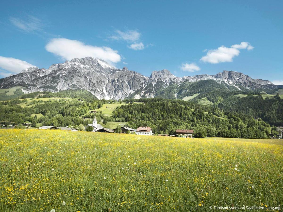 Apartment Kitzsteinhorn By Interhome Saalfelden Bagian luar foto